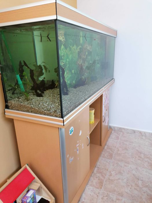 Aquário com C 1500 x L 500 x A680 mm, móvel, luminária e filtro