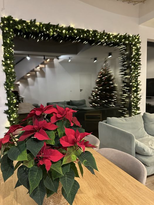 Horyzont Borsk Domek WANNA SPA sauna JEZIORO nocleg 10 osób