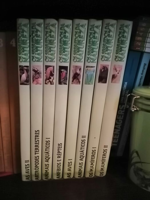 Colecção Livros e Dvd