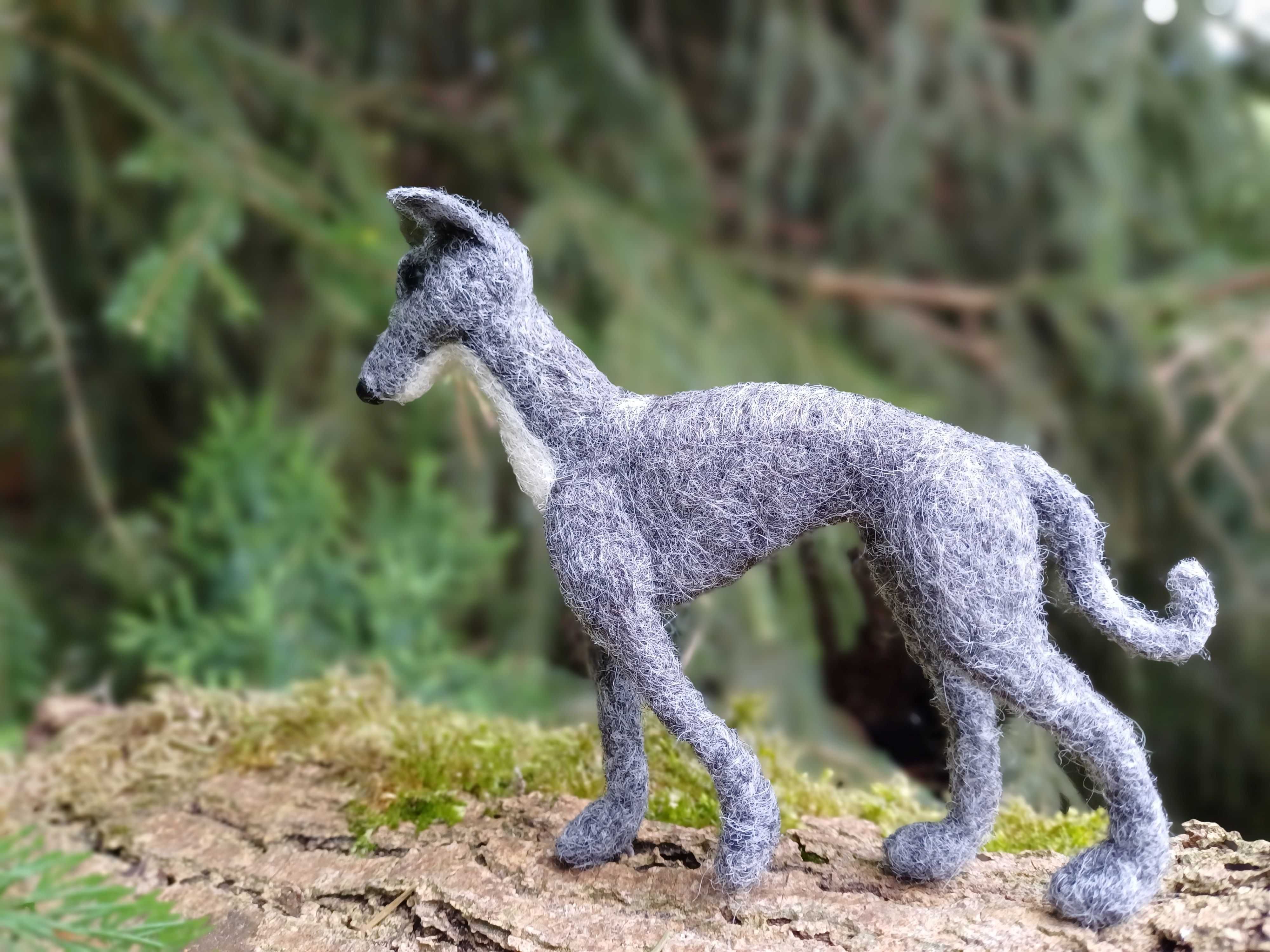 Whippet, chart włoski filcowana figurka psa