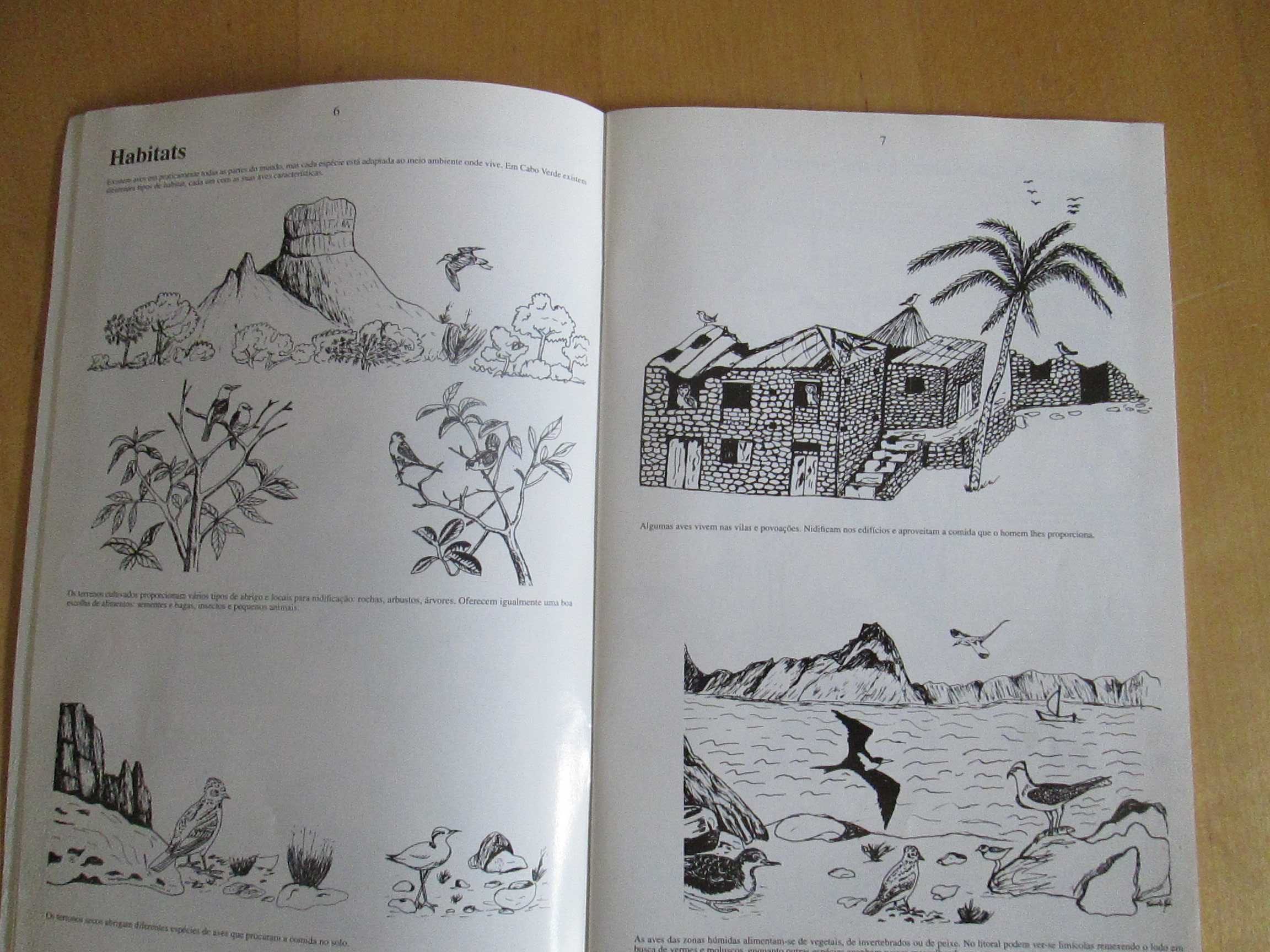 Aves de  Cabo Verde