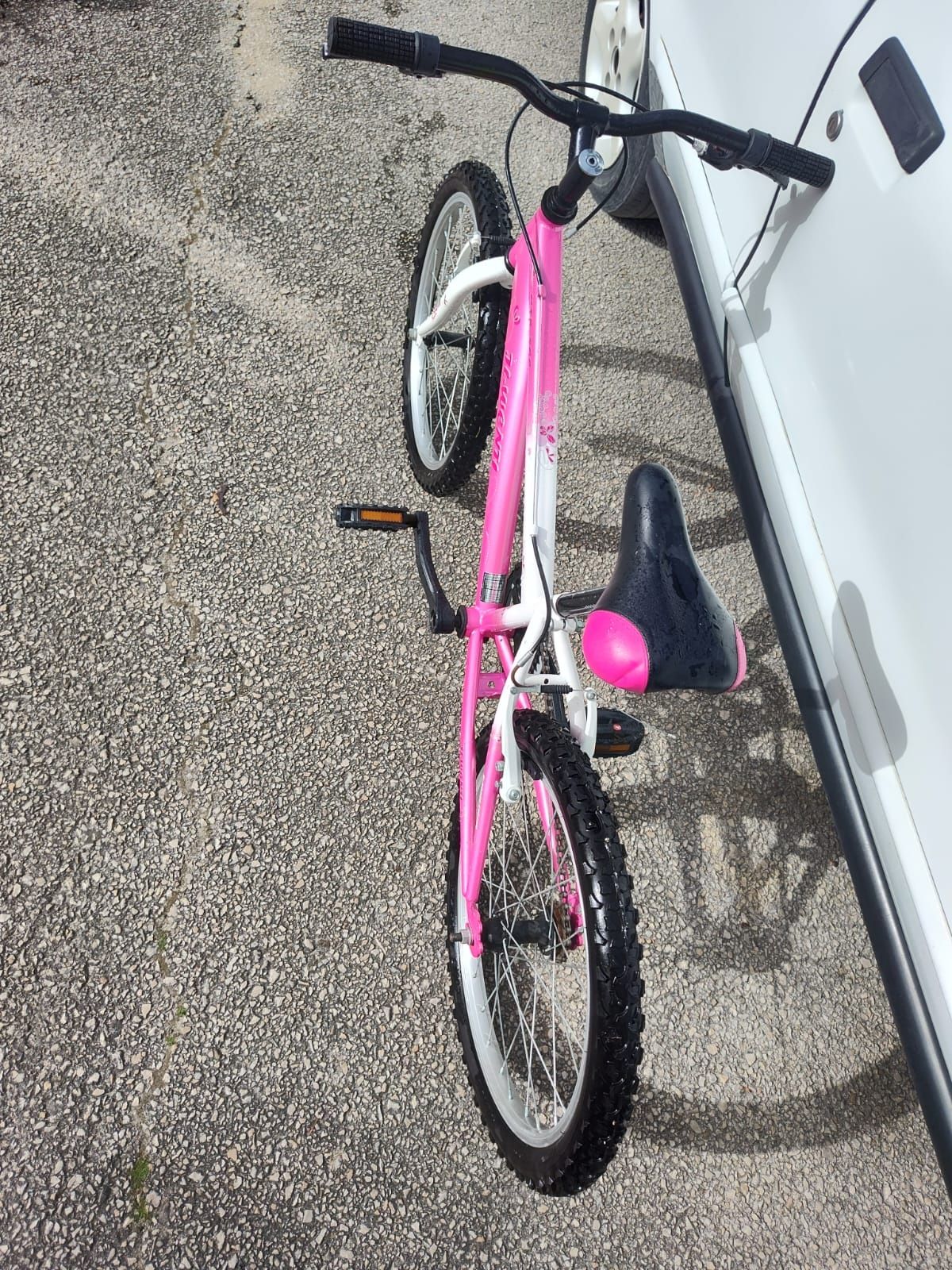 Bicicleta juvenil ( roda 20)
