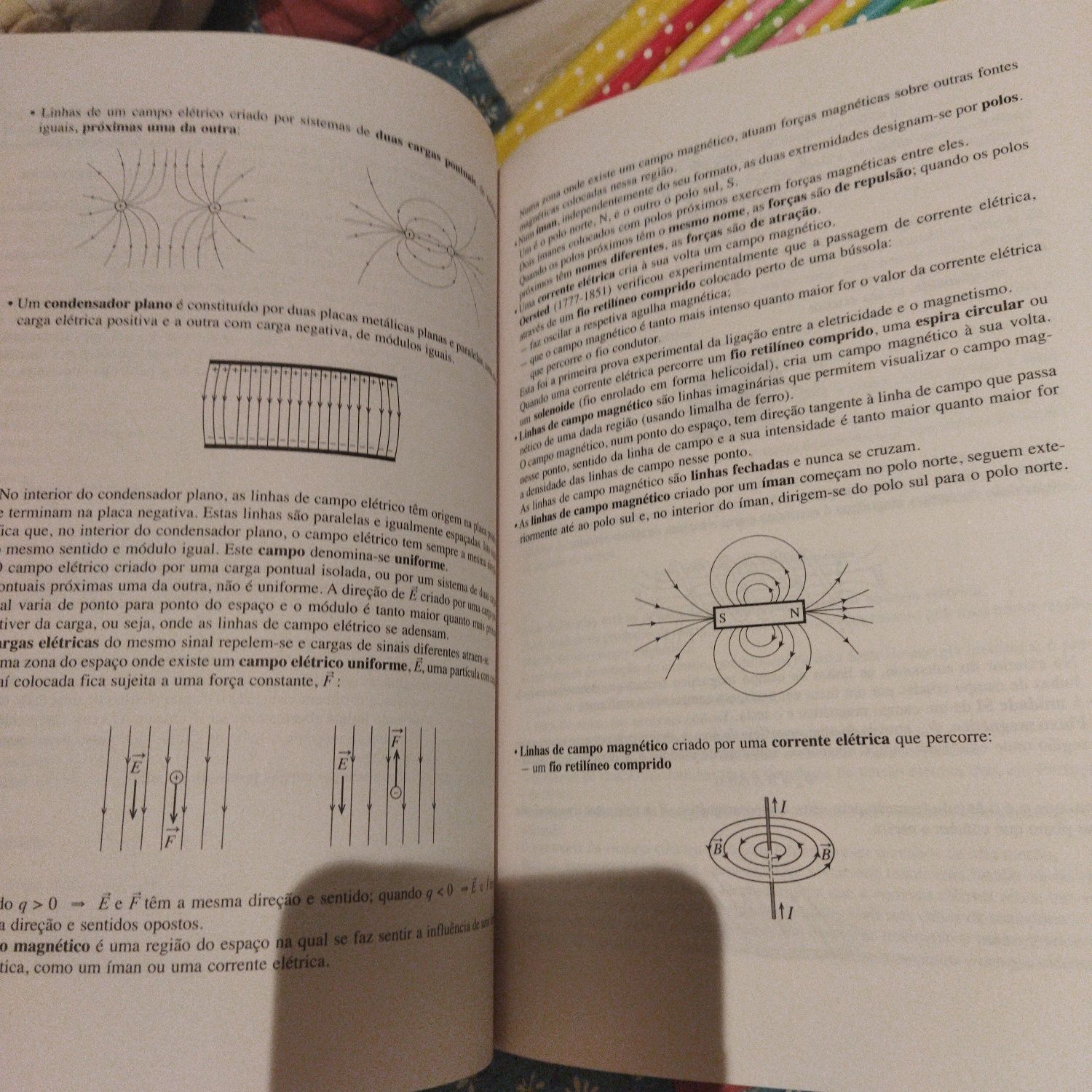 Resumos para exame biologia e geologia/física e química 10/11°ano