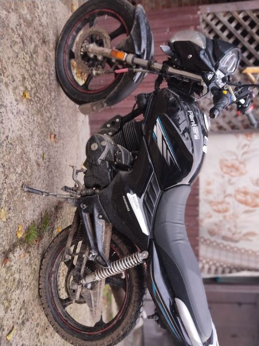 Геон пантера CBF 200