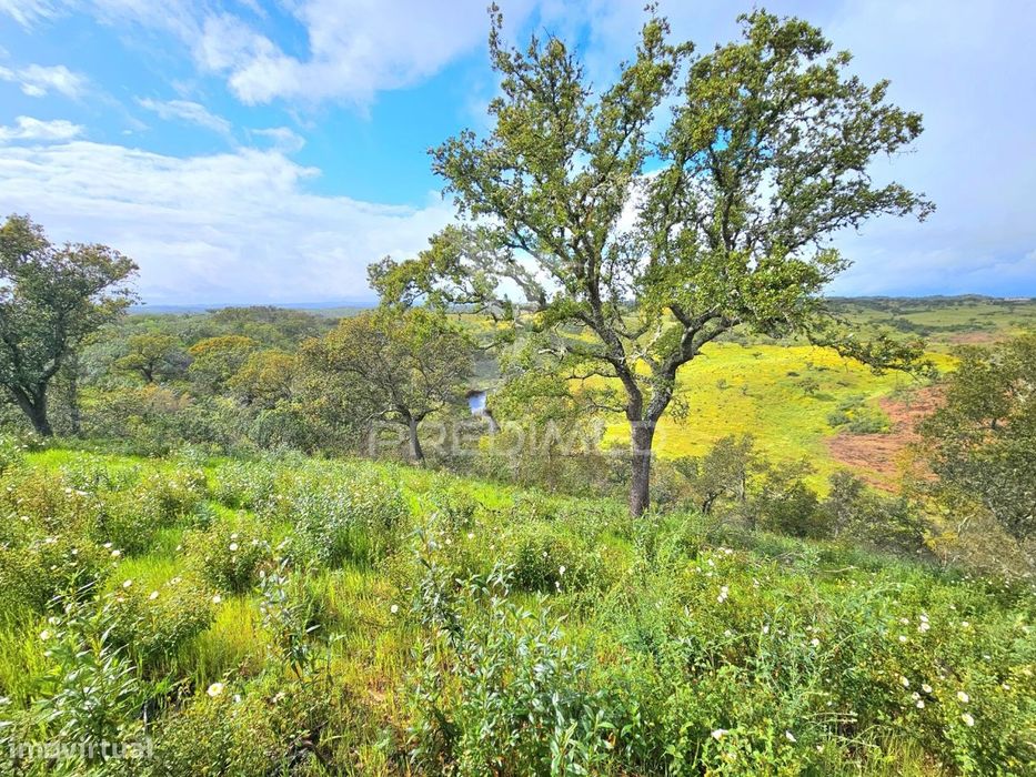 Terreno rústico com 28 hectares
