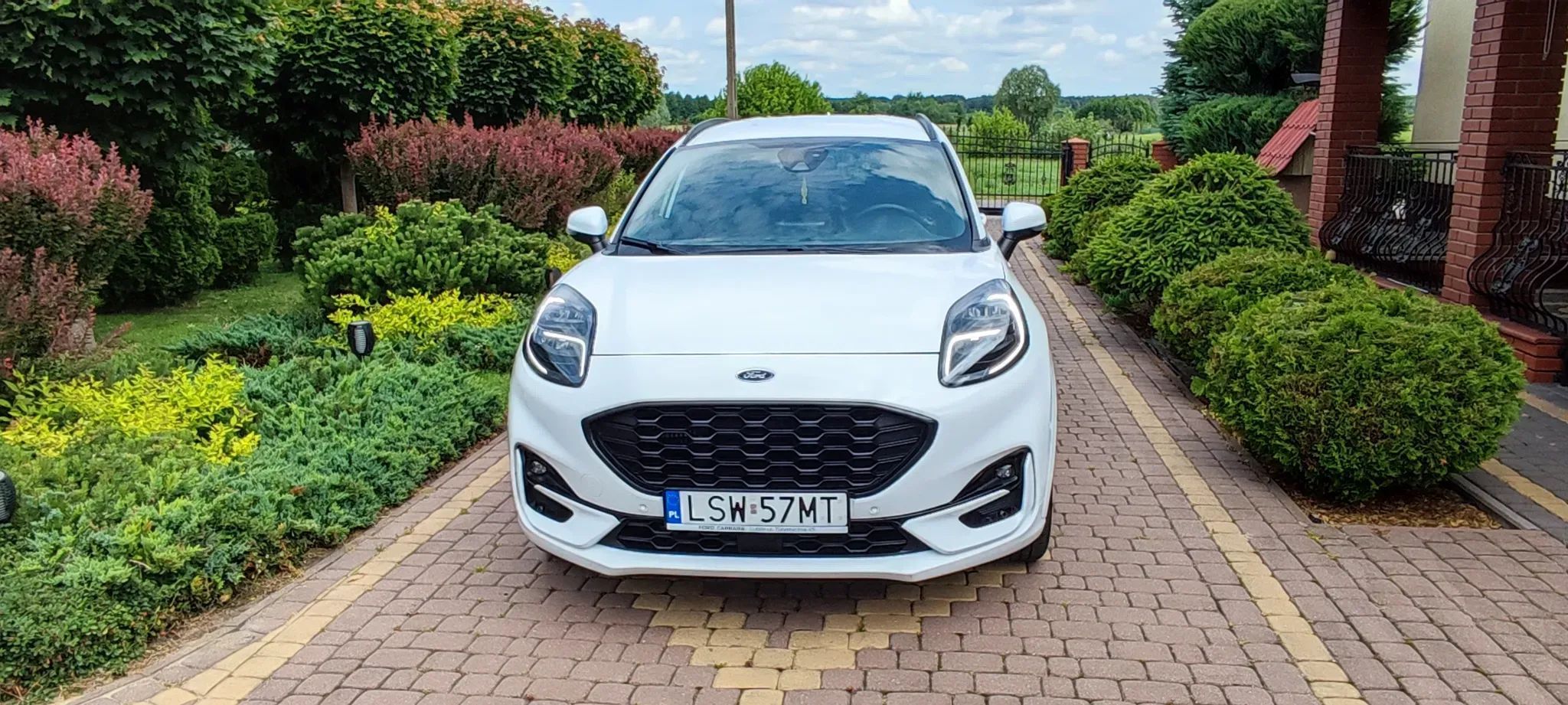 Ford Puma Puma STline X 155KM automat