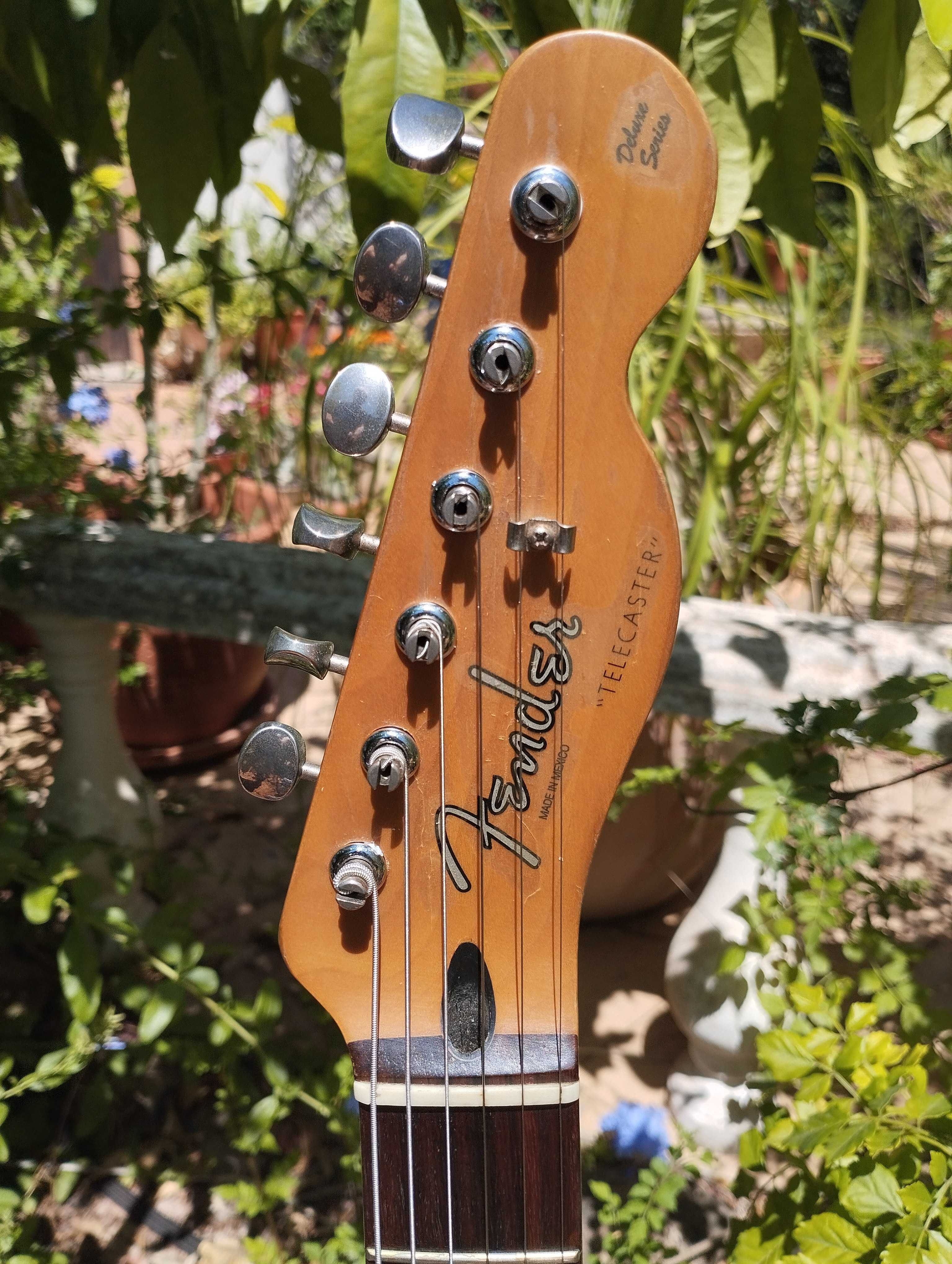 FENDER & SQUIER Telecaster Electric Guitars / Guitarras
