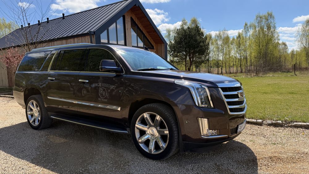 Cadillac Escalade ESV 6.2 V8! Wersja Luxury!