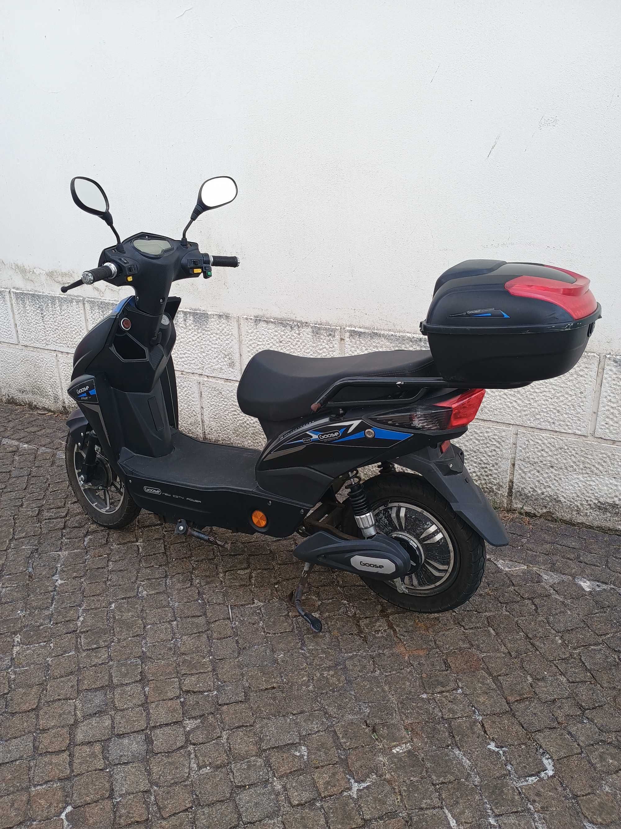 Scooter Vortex Goose