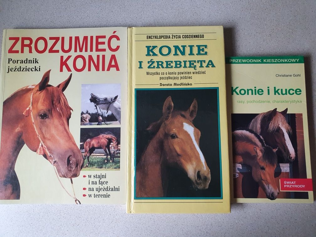 Konie kuce źrebięta poradnik encyklopedia