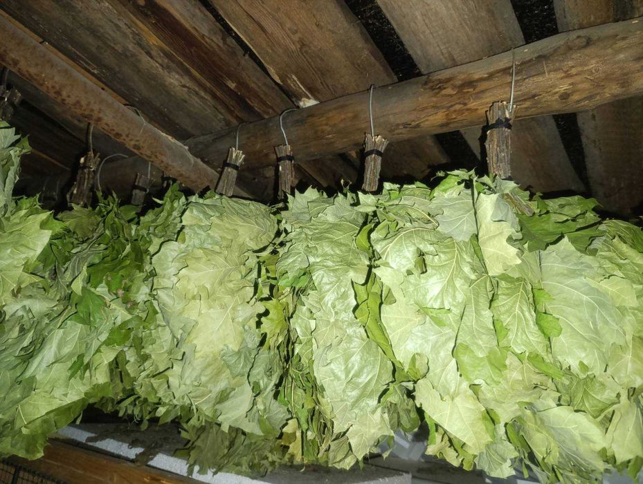 Якісні віники для бані