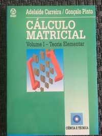 Cálculo Matricial Volume I - Teoria Elementar