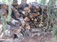 suche drewno do kominka , pieca  lisciaste topola osika po 125 zł / mp