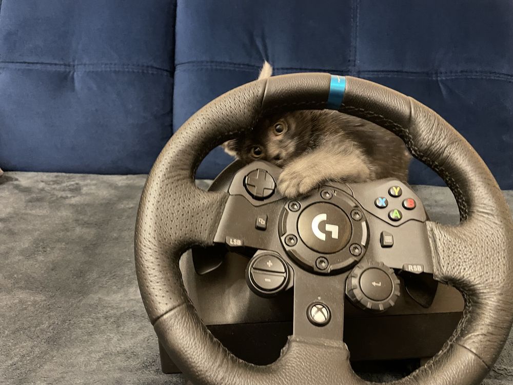 Kierownica Logitech G923 xbox