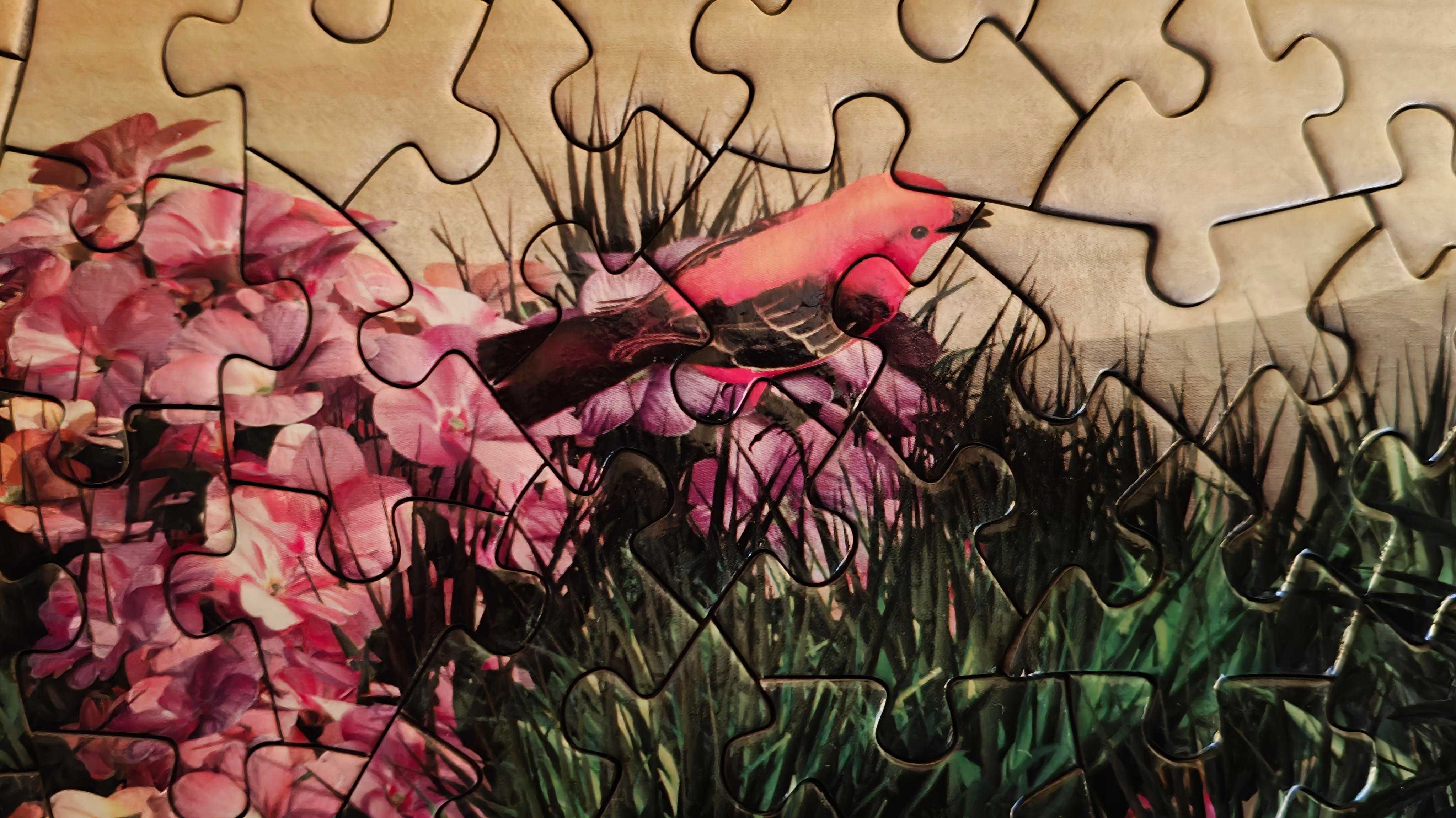 Puzzle  Time To Play 1000