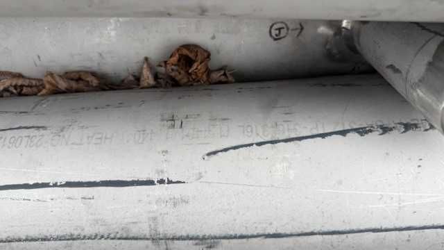 Rury stalowe DN150 bezszwowe stal 316L