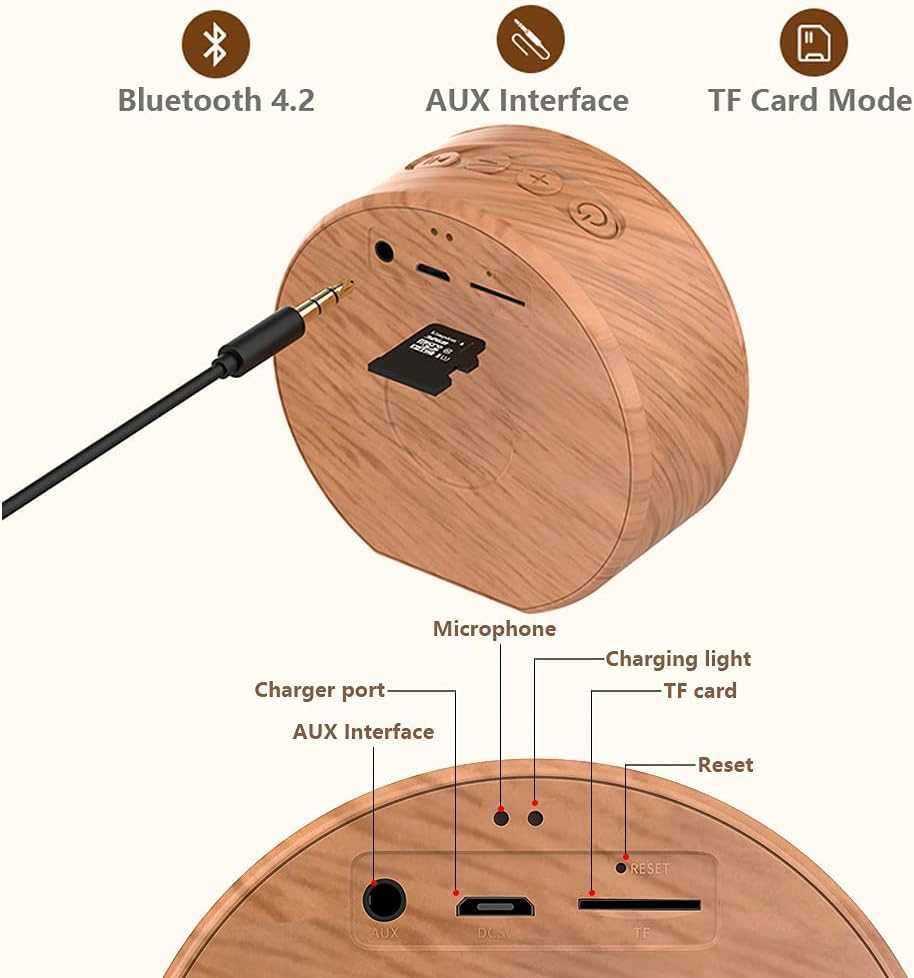 Przenośny głośnik Bluetooth BTS