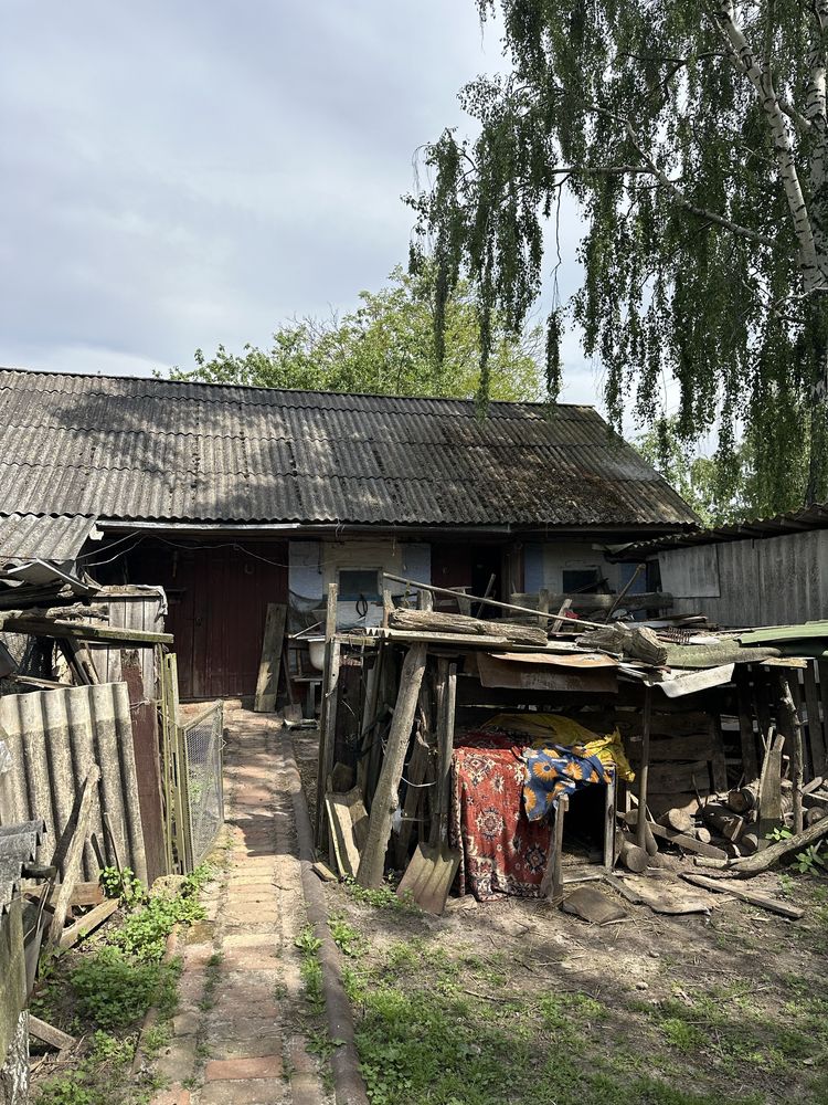 Продається будинок в с. Олишівка