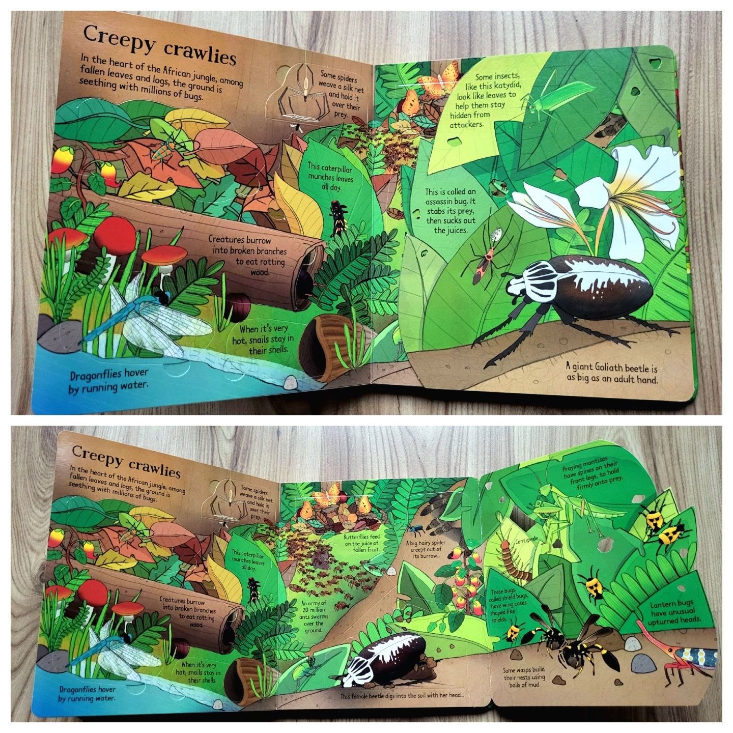 The Jungle Usborne Look Inside z okienkami po angielsku