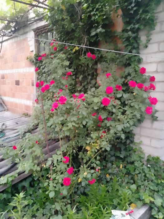 Продам дачный участок с двухэтажным домом