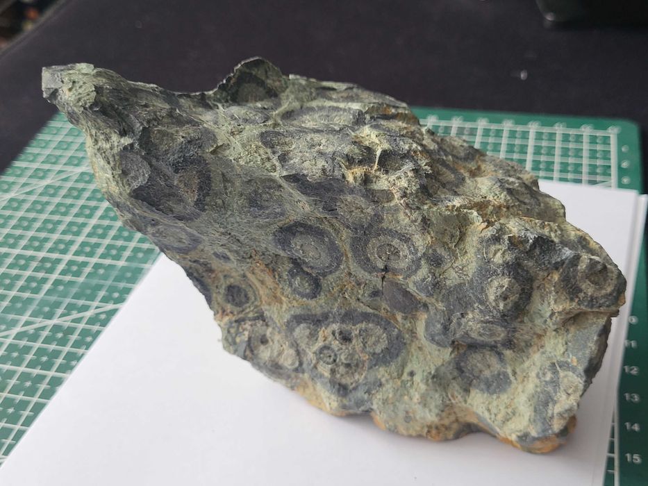 Jaspis kambaba surowy, duży, Madagaskar