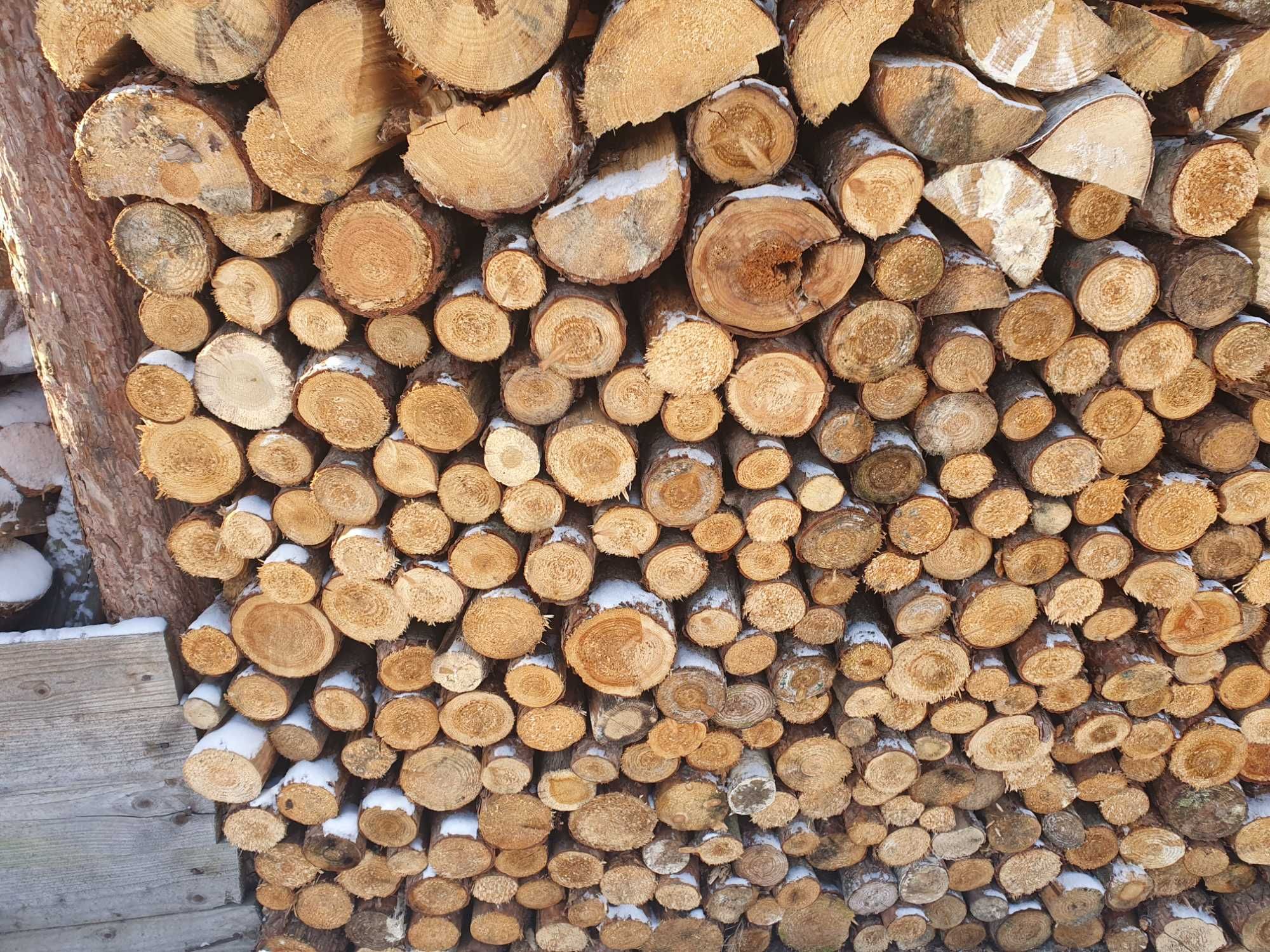 Drewno opałowe. 150zł