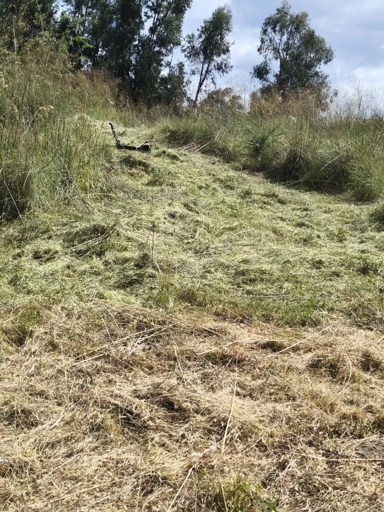 Limpeza de terrenos
