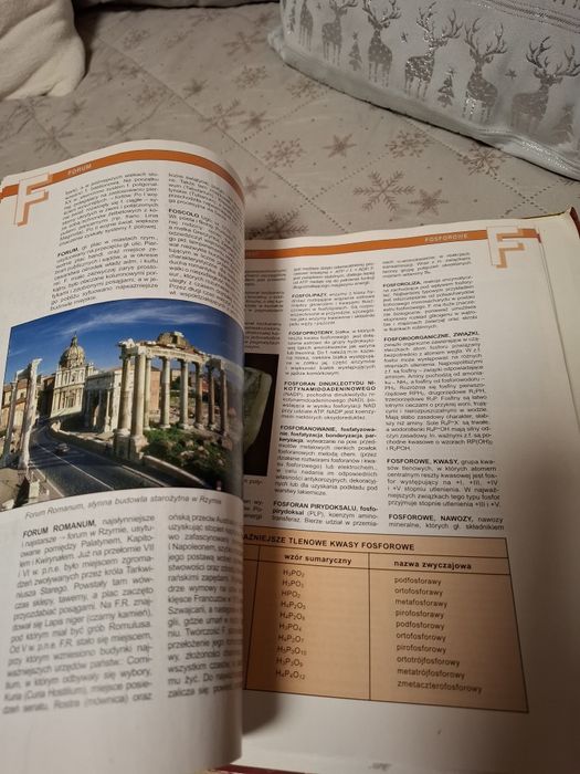 Encyklopedia polonica cała zestaw