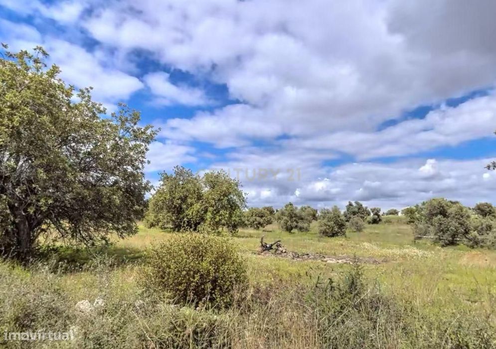 Terreno rústico na Foupana, em Moncarapacho