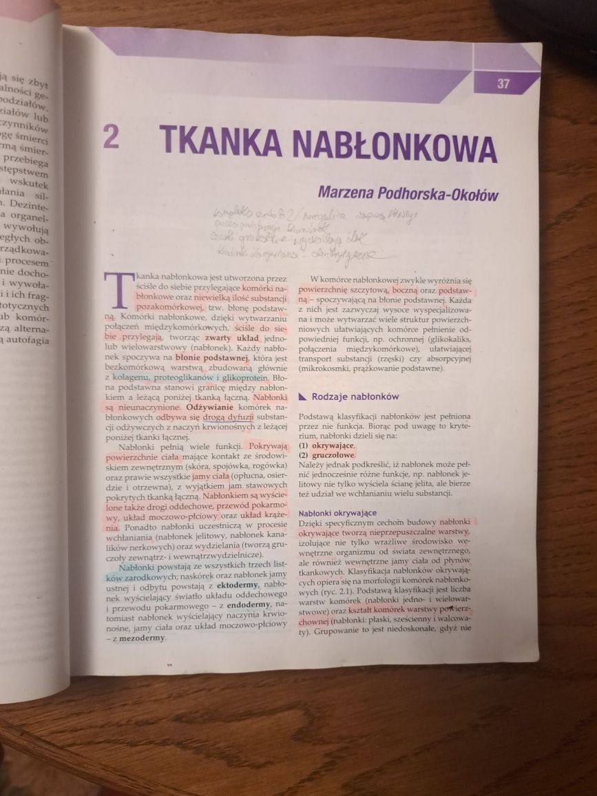 Histologia Zabel