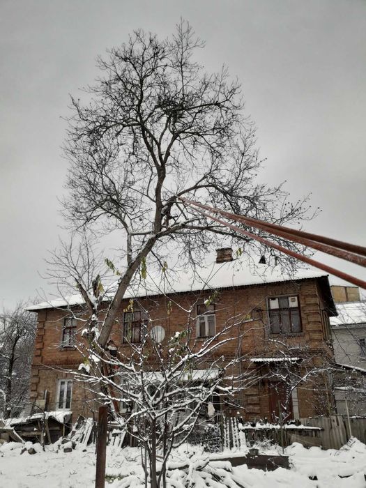 Видалення аварійних дерев Є послуги автовишки. Є послуги ЩЕПОРІЗА