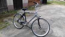 Rower Gazelle Chamonix