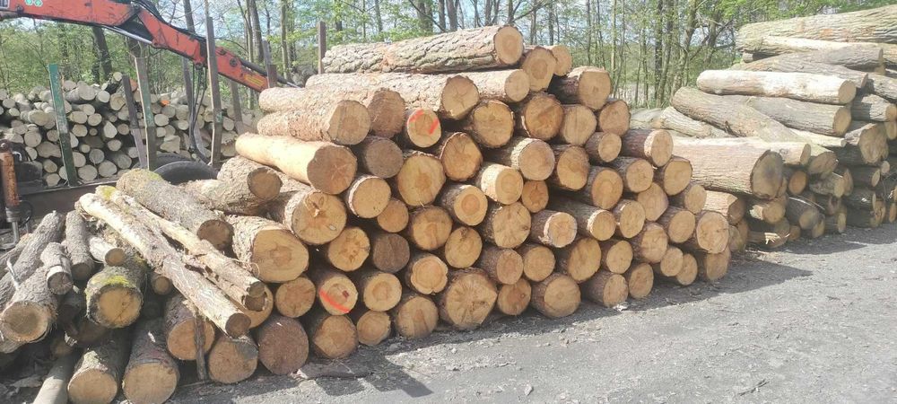 Drewno kominkowe opałowe Drzewo Grab Buk Dąb Brzoza Olcha Akacja Sosna