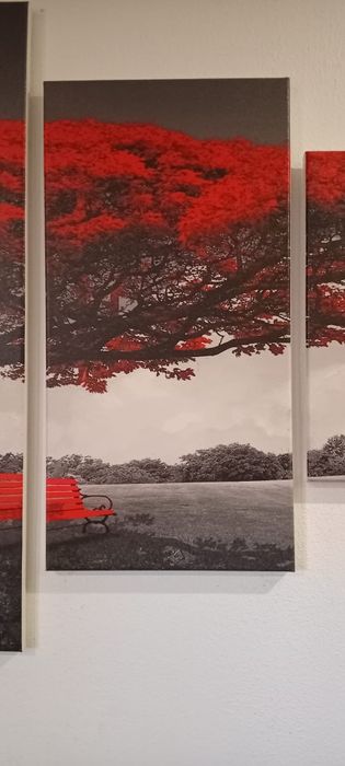 Quadro de decoração 1,62×80