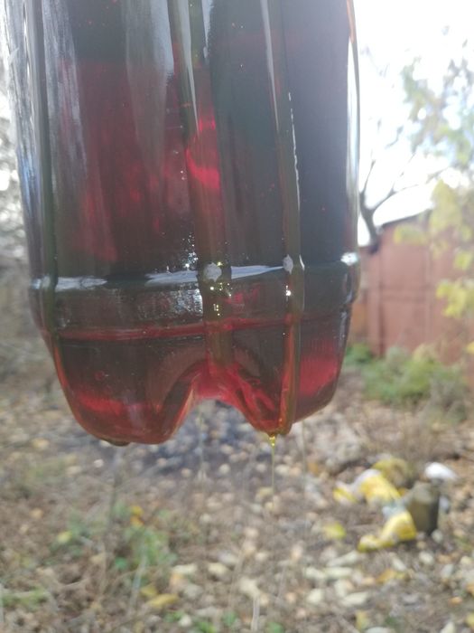 Продам нове  масло для двигуна  мс 20.