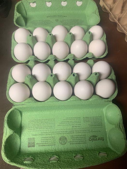 Jaja, jajka wiejskie z dowozem.