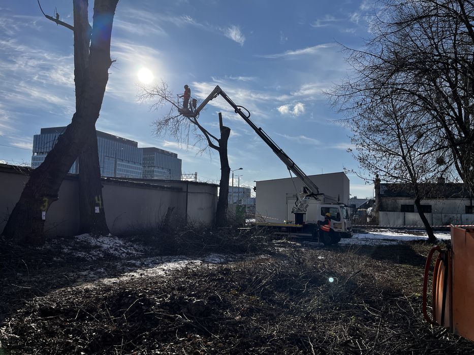 Wycinka drzew, pielegnacja drzew, przygotowanie terenu pod budowe