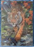 Vende- se Puzzle tigre emoludrado
