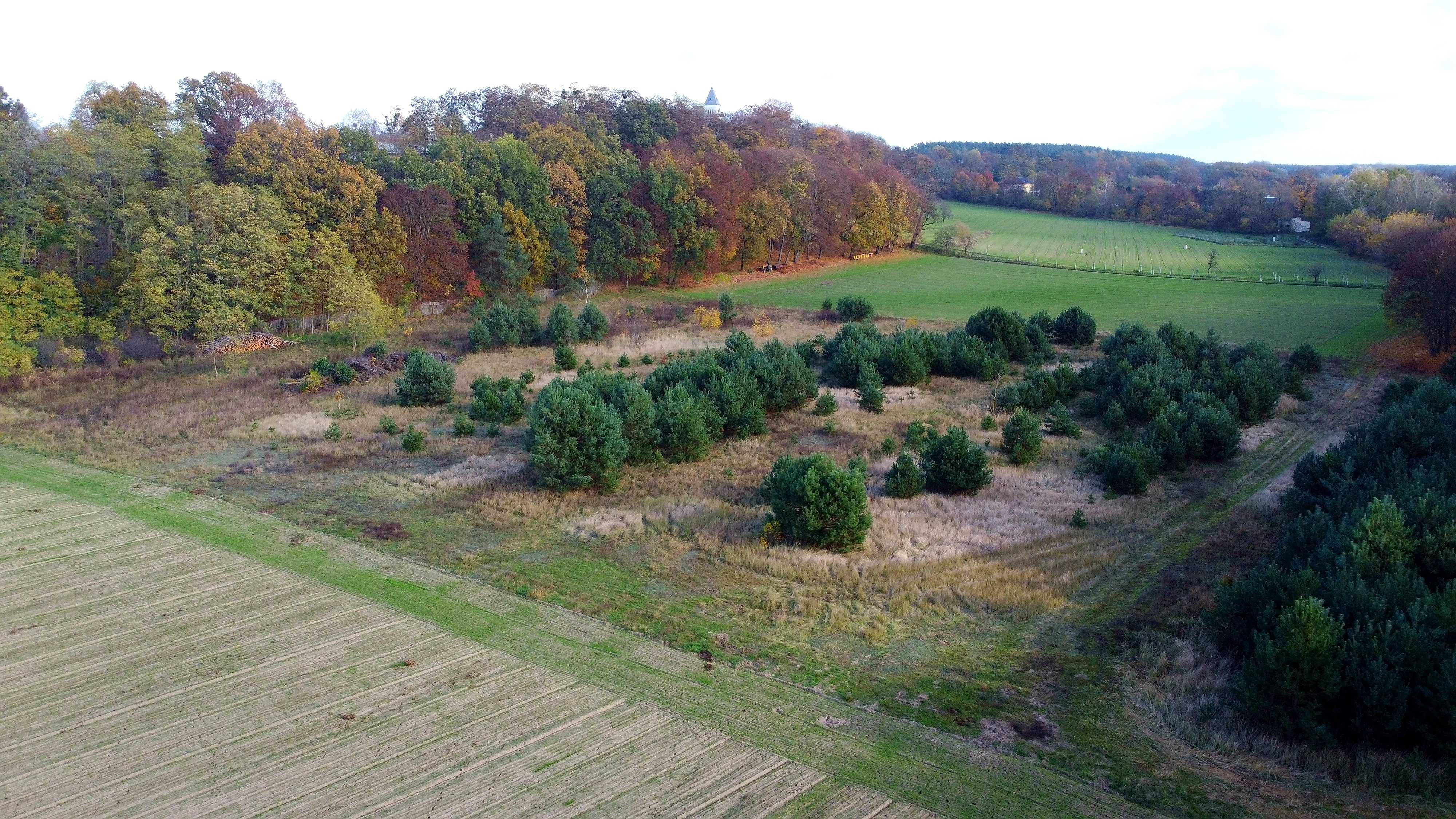 Działka nad rzeką Wartą Oborniki Wlkp. - Bąblin 3000 m2