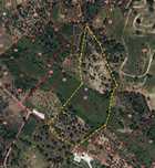 Terreno 2,5ha com ruína para reconstruir, rústico e florestal. Sardoal
