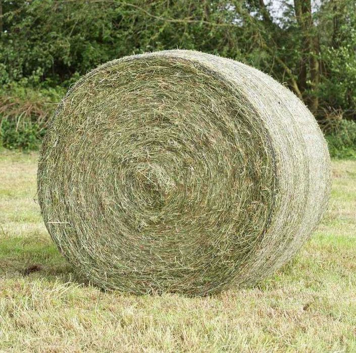 Siano Słoma Owies Jęczmień Pszenżyto Pszenica Wdoczne Aktualne Maszyny