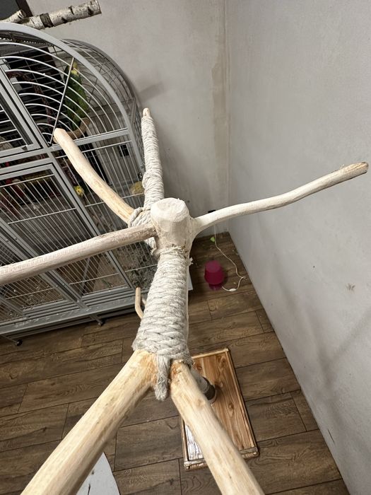 Stojaki dla papug z litego drewna – na zamówienie!