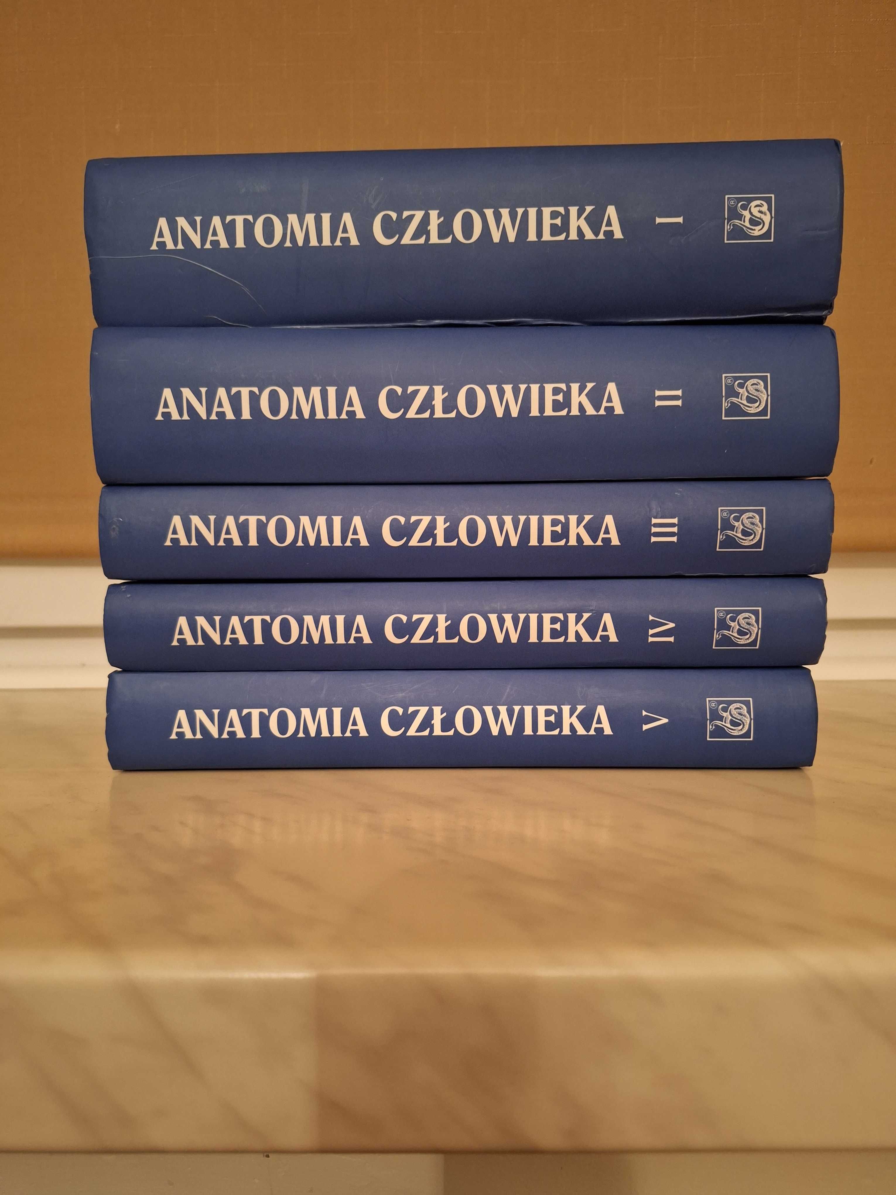 Anatomia Człowieka A. Bochenek 5 tomów komplet jak nowe