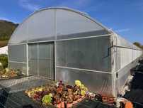 Estufa 320 m2 - Estufas para plantas - Estufa de flores