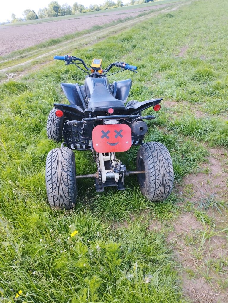 Sprzedam Bashan 250