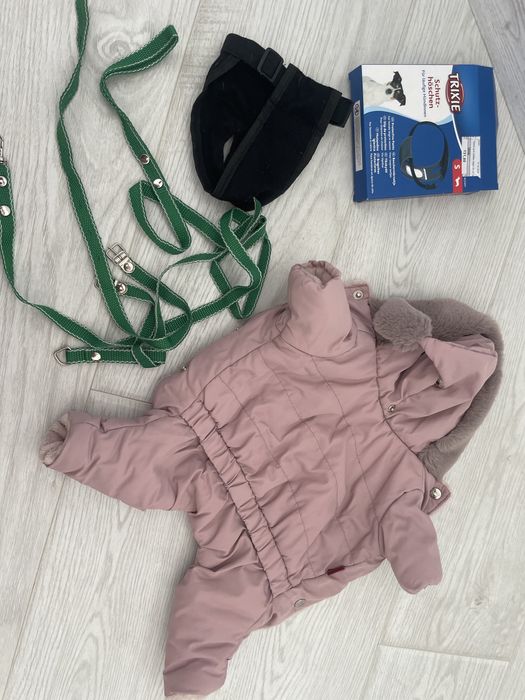 трусики,повідець