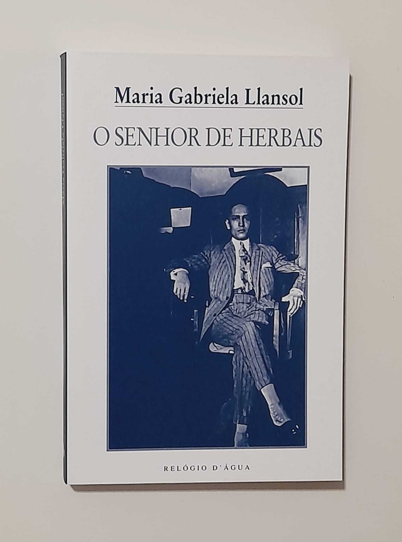 O Senhor de Herbais - Maria Gabriela Llansol