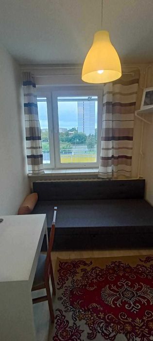 pokój jednoosobowy do wynajęcia