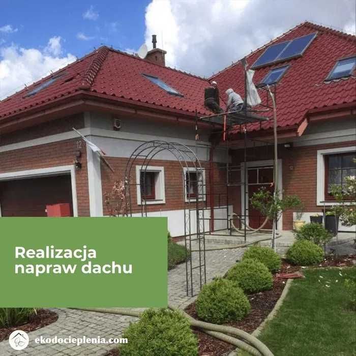 Naprawa dachu po kunie - Wdmuchiwanie celulozy - Odstraszanie kun