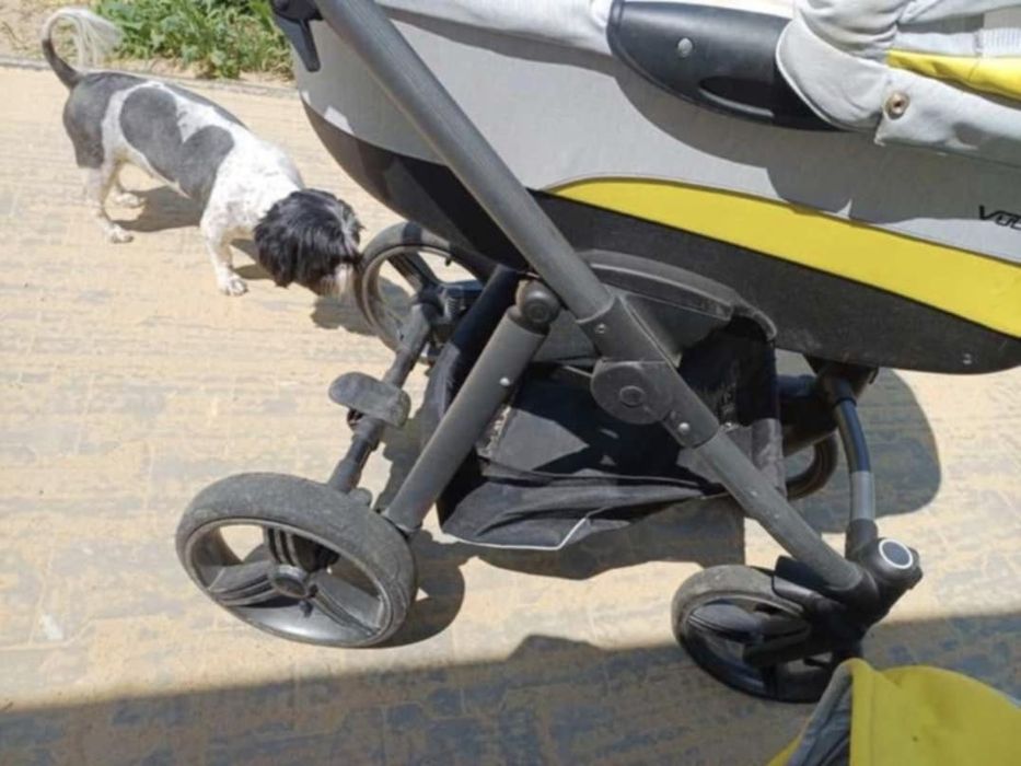 Wózek dziecięcy Gondola+Spacerówka